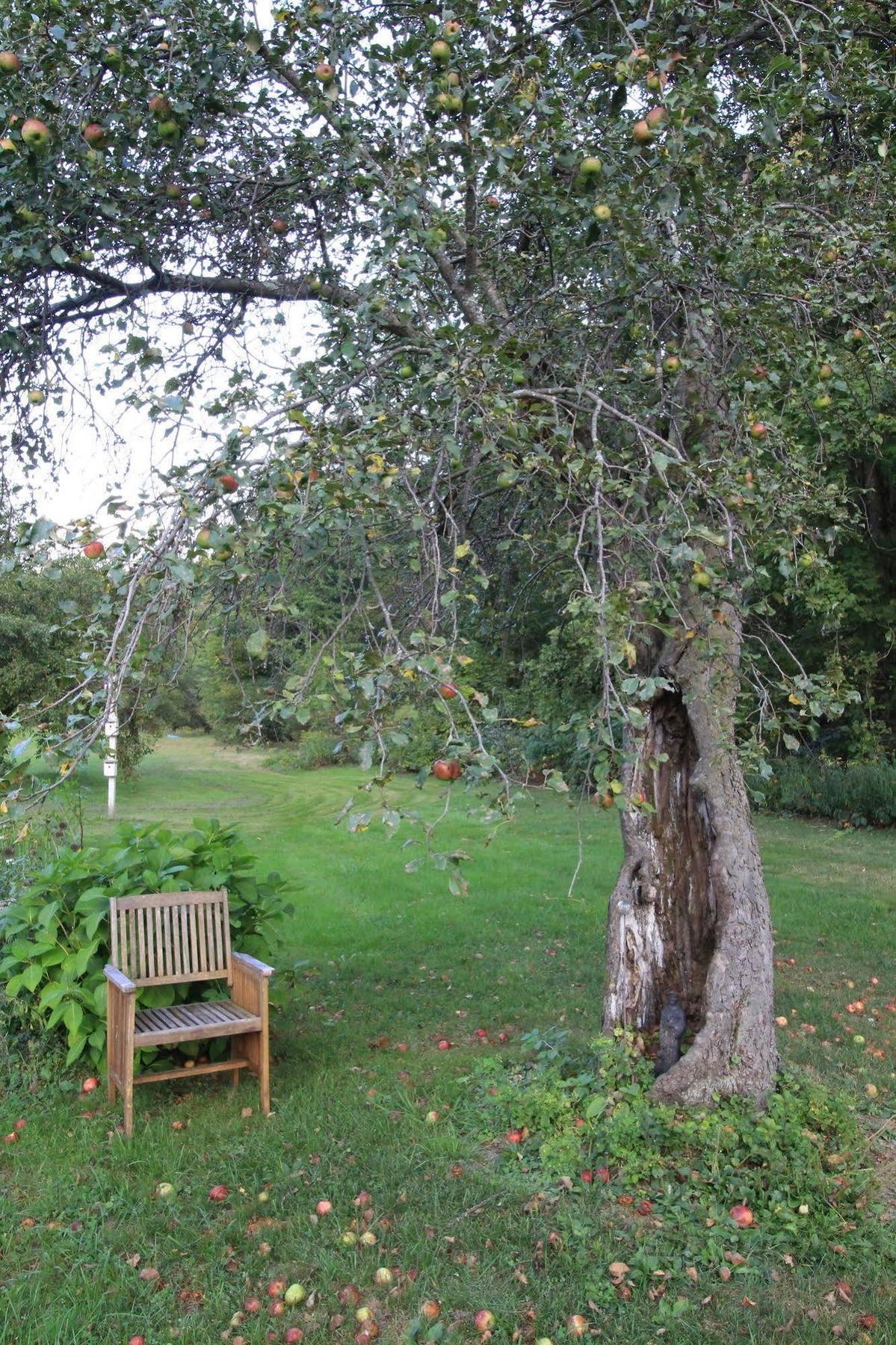 Green River Inn Sandgate Εξωτερικό φωτογραφία